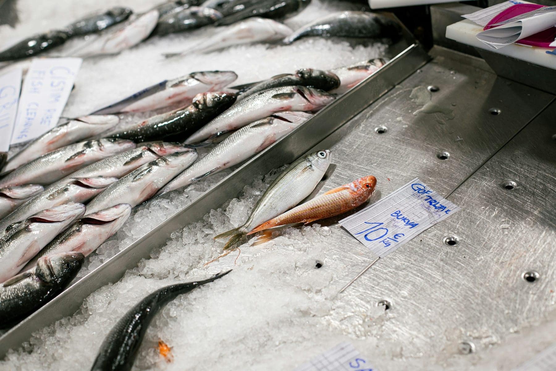 Poissons entiers sur un lit de glace pilée avec écriteaux de prix manuscrits